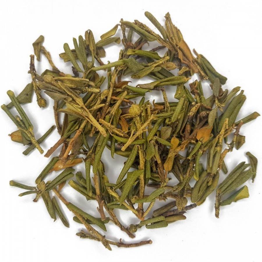 Чай саган-дайля: полезные свойства, противопоказания
