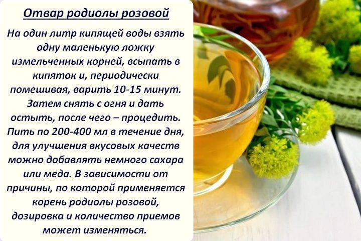 Настойка, отвар, чай и настой сенны: рецепты, приготовление, лечение | народная медицина | dlja-pohudenija.ru