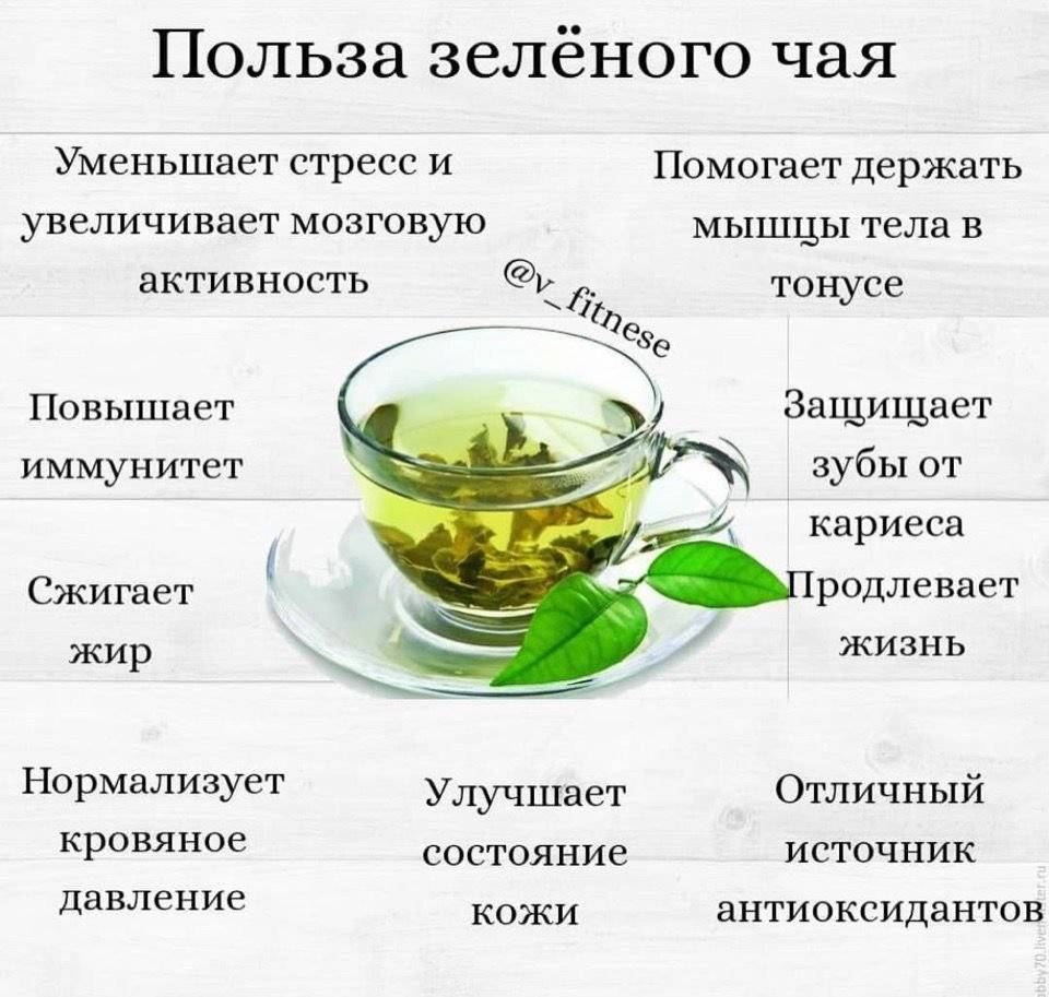 Чай с обычным и черным тмином, польза и рецепты