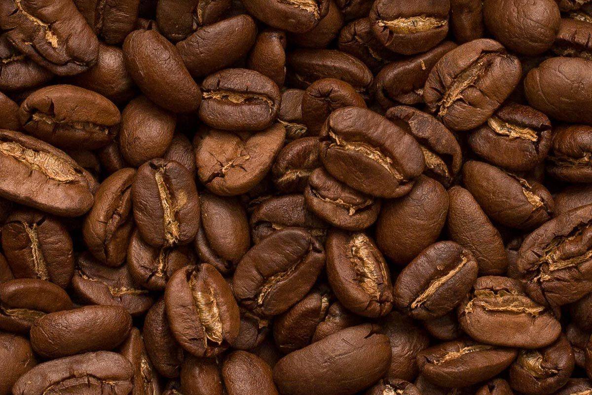 Кофе арабика – описание, лучшие сорта, особенности выращивания