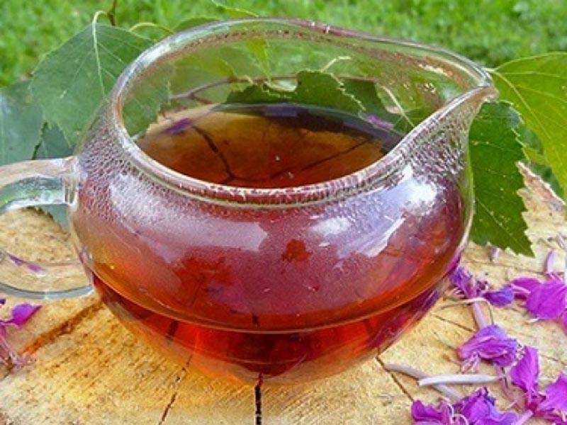 Чай из листьев земляники польза, как заваривать, от чего пьют
