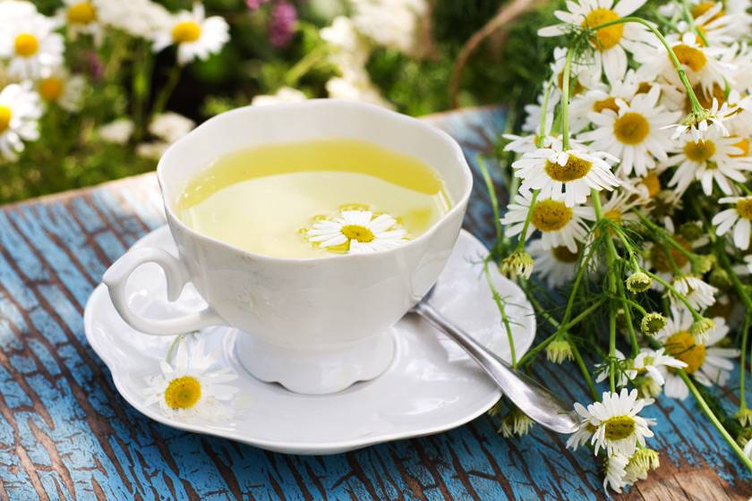 Ромашковый чай. польза и вред продукта для организма, противопоказания к применению