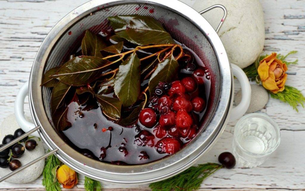 Чай из листа вишни (ферментированный): польза для организма
