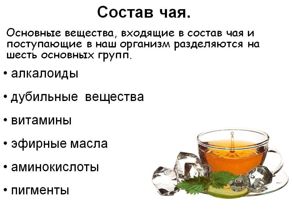 Чем отличается черный чай от зеленого. в чем уникальность напитков