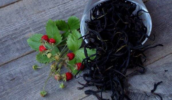 Чай из листьев земляники: польза и вред, рецепты, заготовка