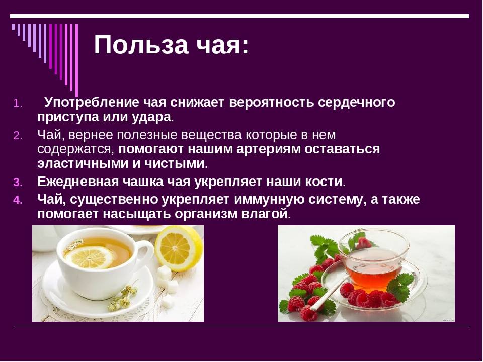 Иван-чай полезные – свойства и противопоказания для мужчин и женщин