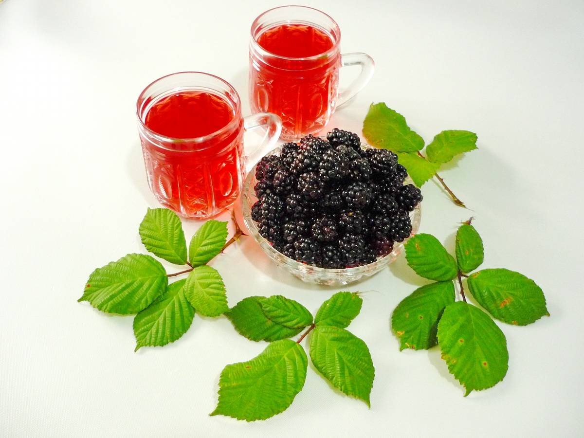 Чай из листьев малины - самые вкусные рецепты приготовления полезного напитка