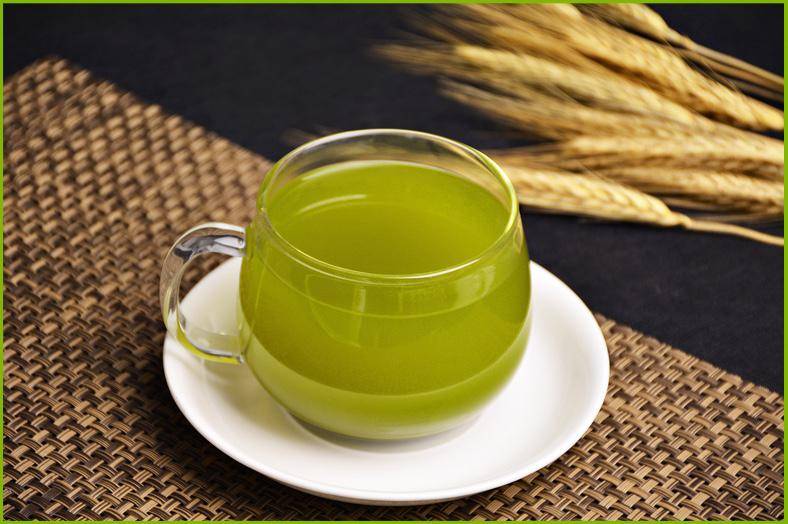 Как правильно заваривать зеленый чай, с чем и как его пить