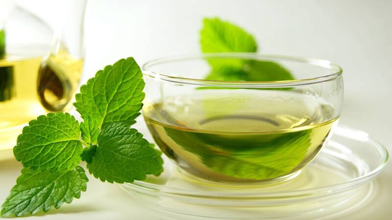 Чай базилик полезные свойства и противопоказания