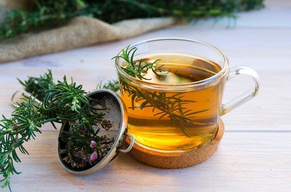 Чай с базиликом: польза и вред, рецепты, а также можно ли заваривать и как готовить?