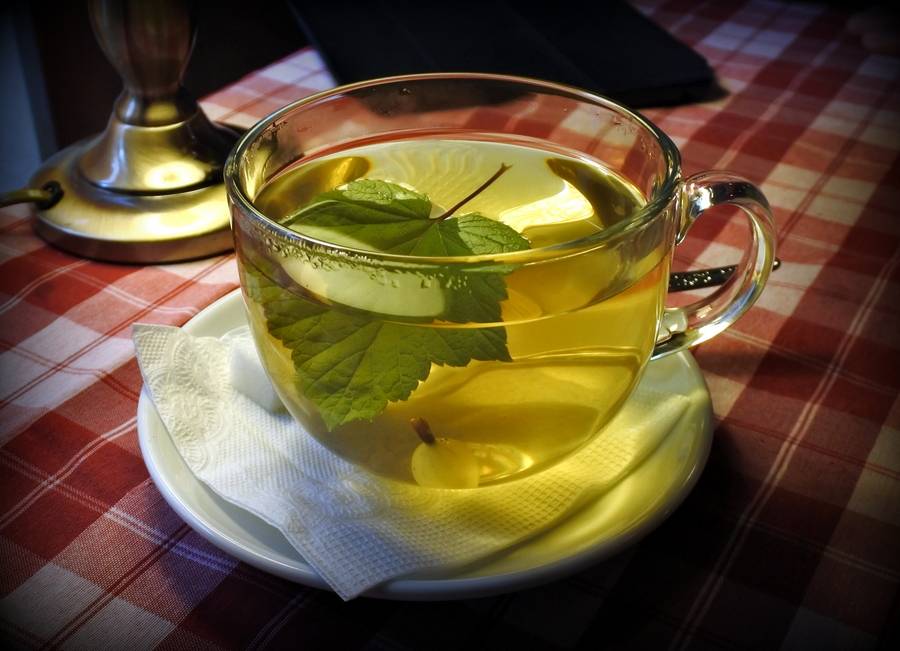 Польза зеленого чая с мятой