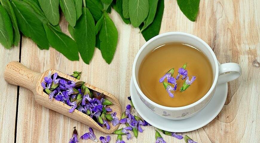Чай с лавандой: полезные свойства и противопоказания