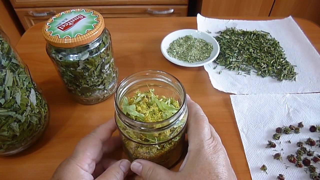 Как приготовить чай из листьев садовых растений