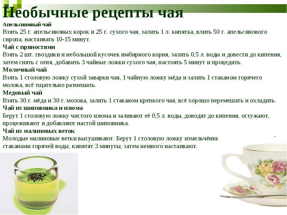 27 растений для чая