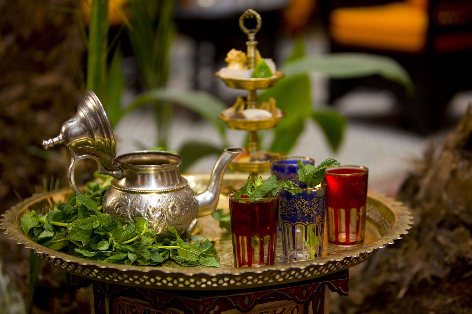 Марокканский чай — состав, 5 рецептов приготовления