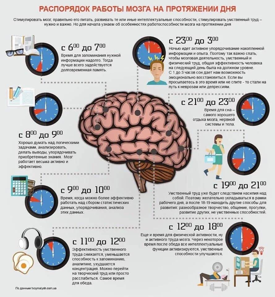 Какие продукты повышают мозговую активность и полезны для умственной деятельности — топ 8