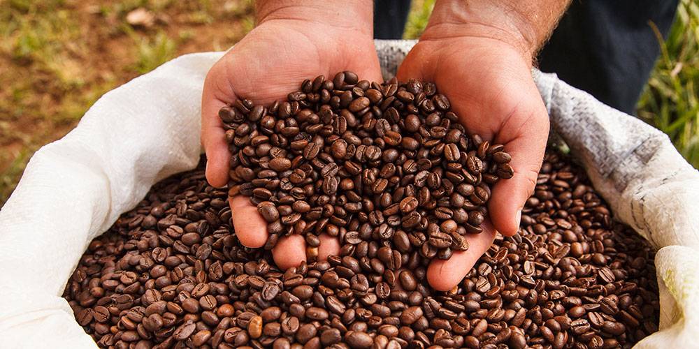 Лучший кофе в мире растет колумбии — я точно знаю!