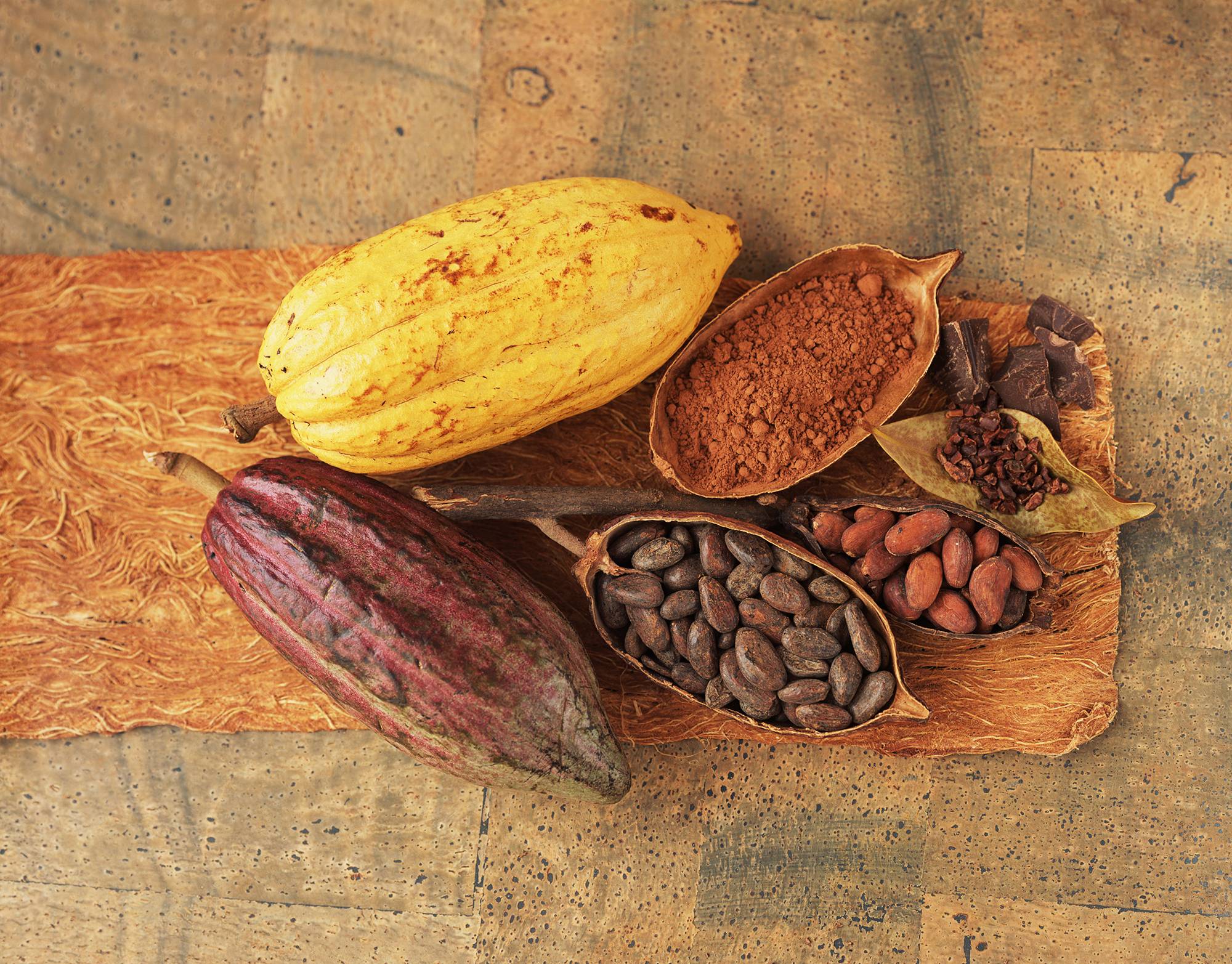 Напиток для ума какао: польза и вред для здоровья