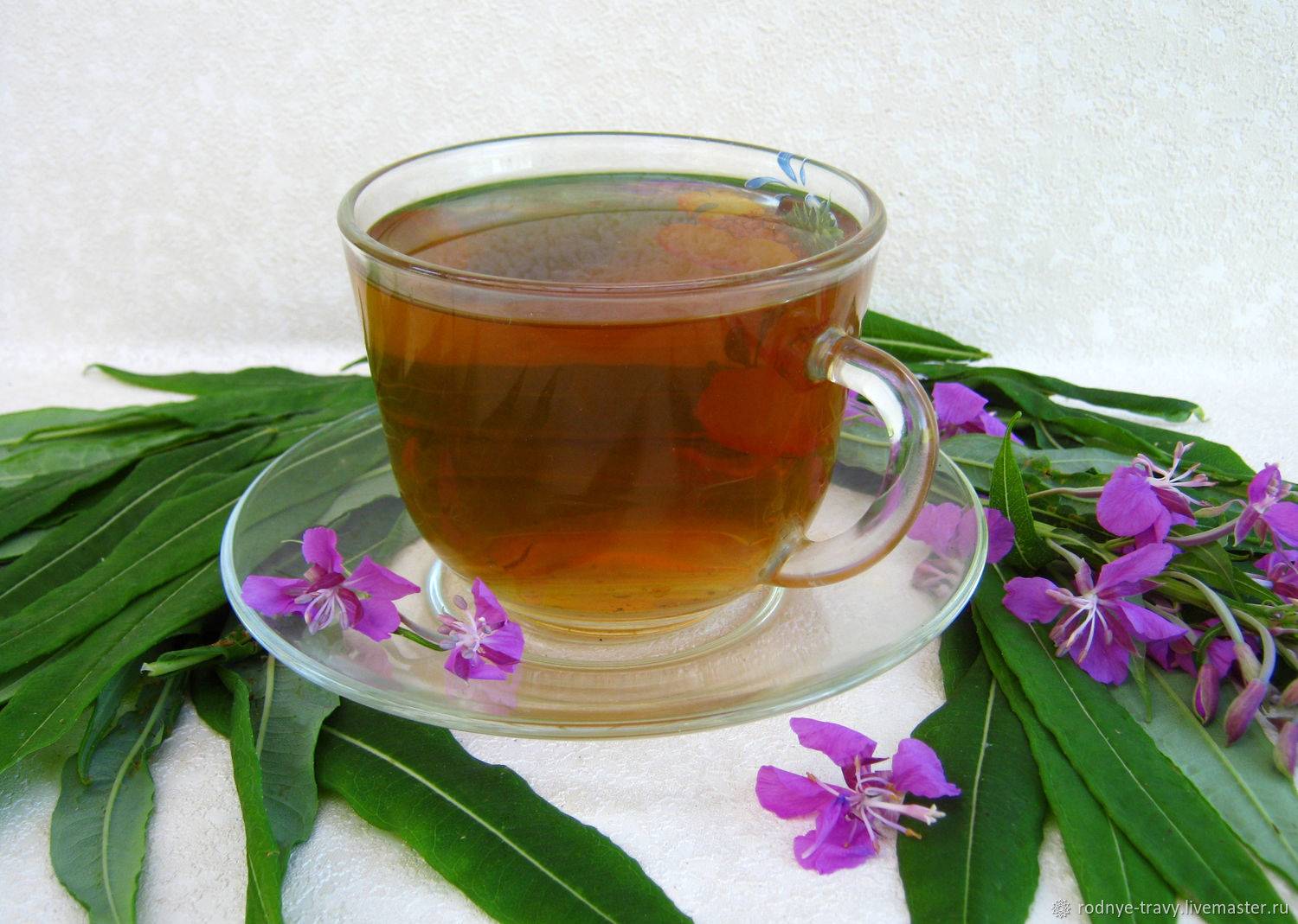 Польза и вред кипрейного чая – разбираемся с традиционным напитком руси