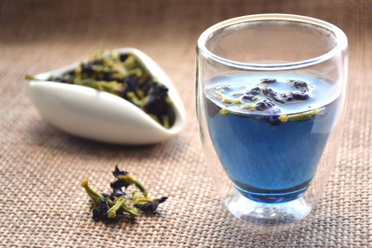 Пурпурный чай "чанг-шу": отзывы врачей. как пить? противопоказания