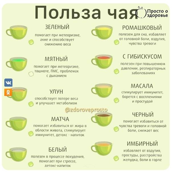 Какой чай полезнее: черный или зеленый и в чем разница, отличия
