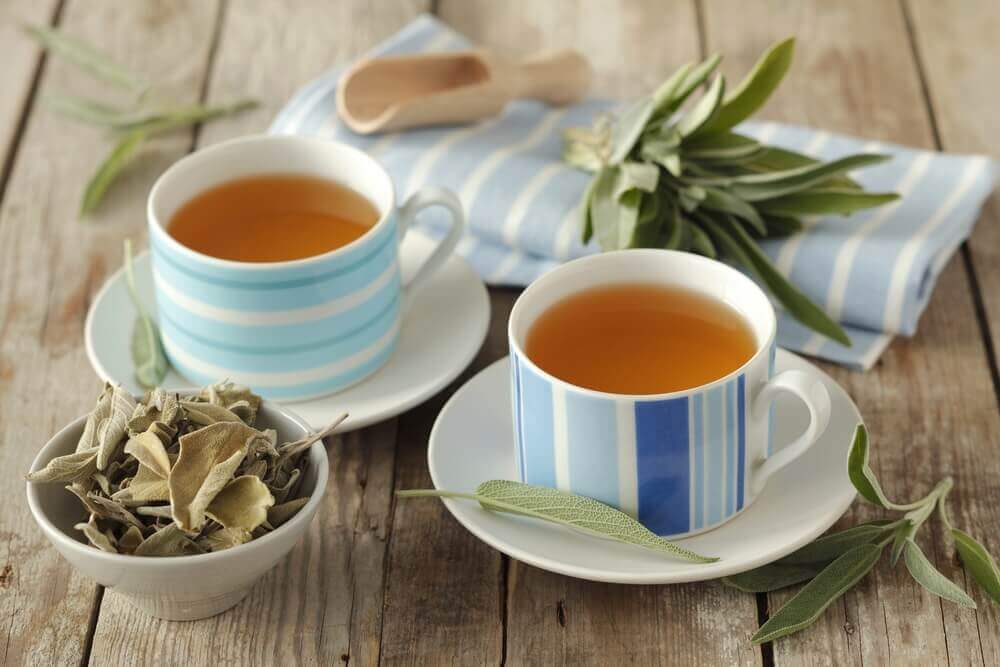 А вы знали, что у чая с шалфеем есть не только польза, но и вред?