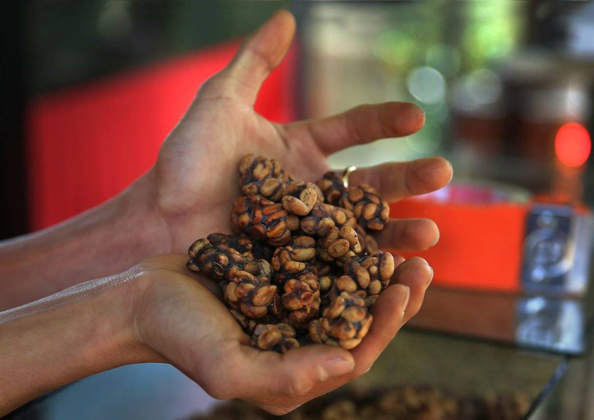 Кофе в зернах: рейтинг марок и стран-производителей