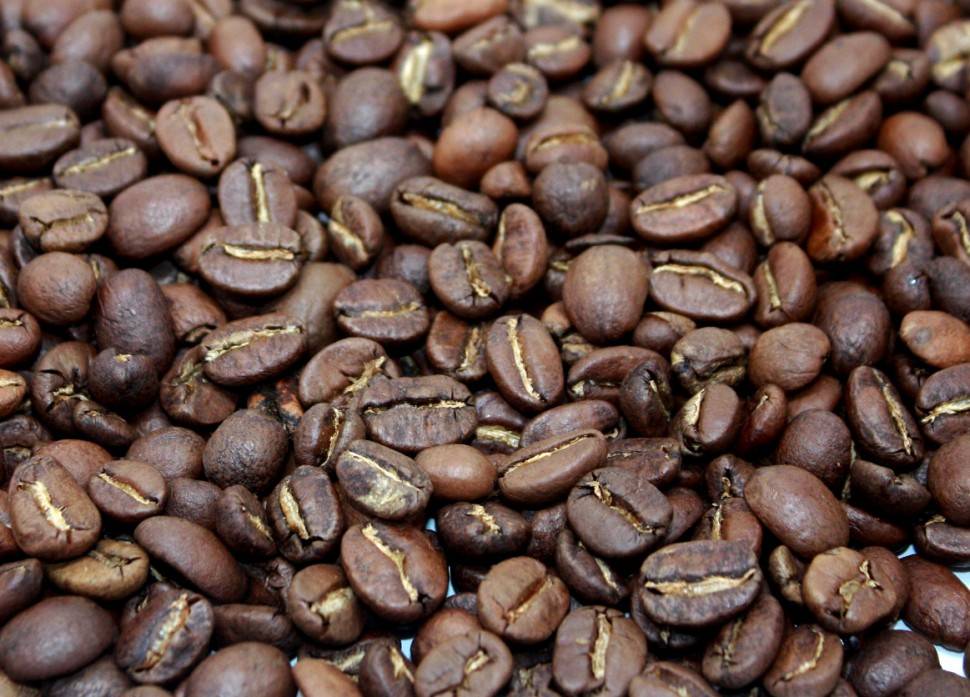 Мексиканский кофе: особенности, сорта, известные марки