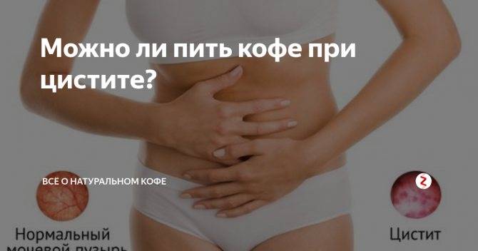 Что пьете при цистите. Кофе при цистите у женщин. От кофе цистит. Можно пить кофе при цистите. Сладкое при цистите.