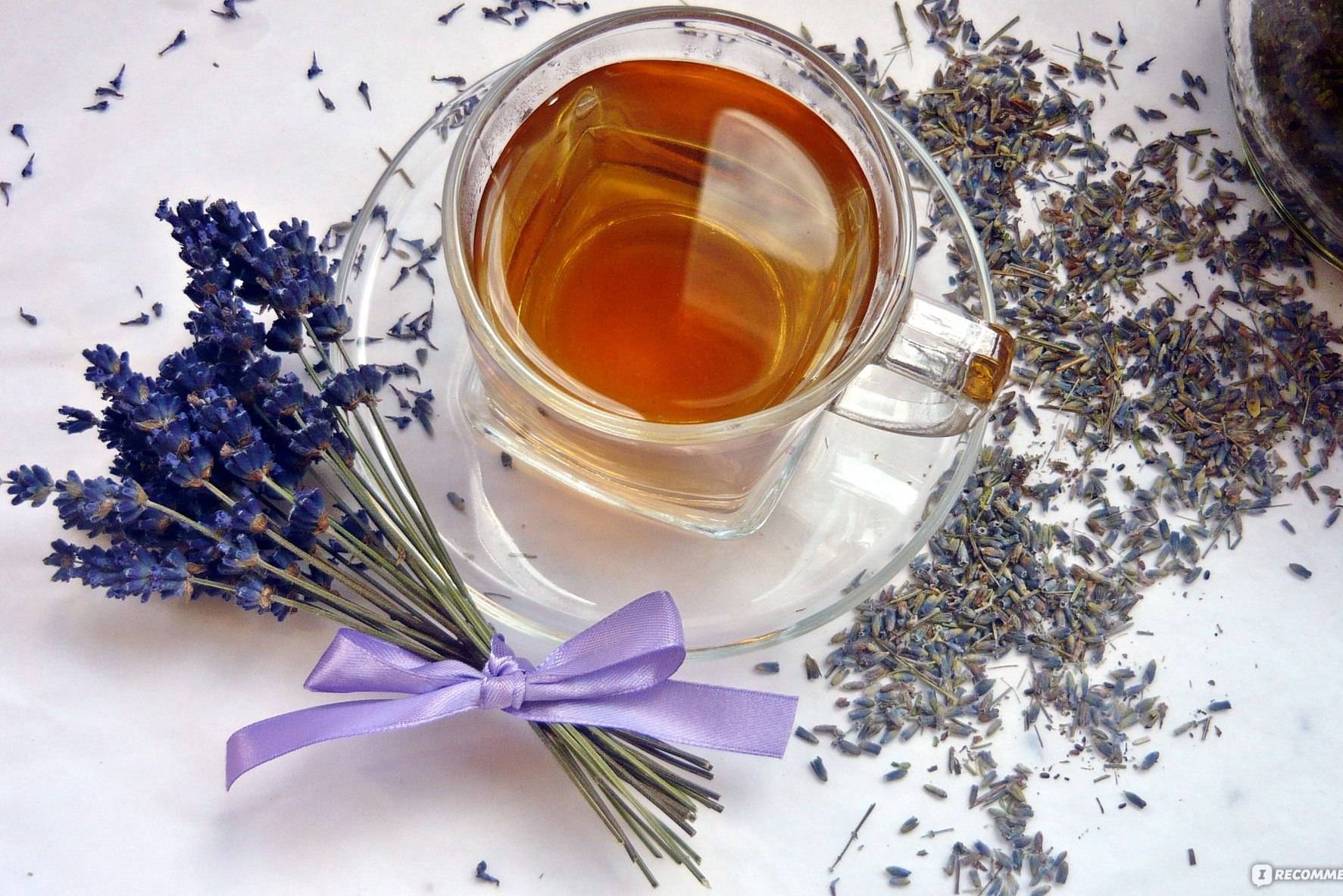 Чай с шалфеем: польза и вред, как пить (рецепты)