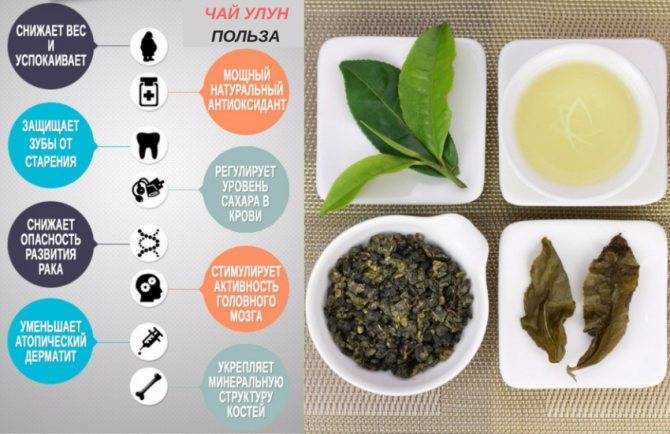 Зеленый чай для похудения: польза, рецепт, отзывы худеющих