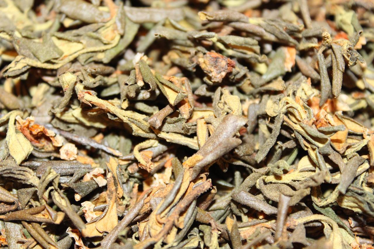 Саган-дайля - польза и вред лекарственной травы, приготовление чая, отвара и настойки