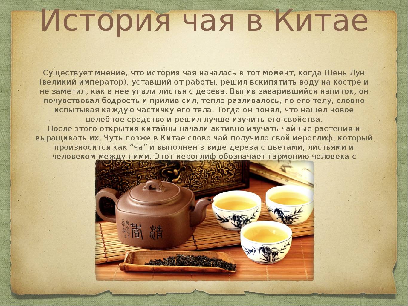 Интересные факты о чае, история происхождения, полезные свойства