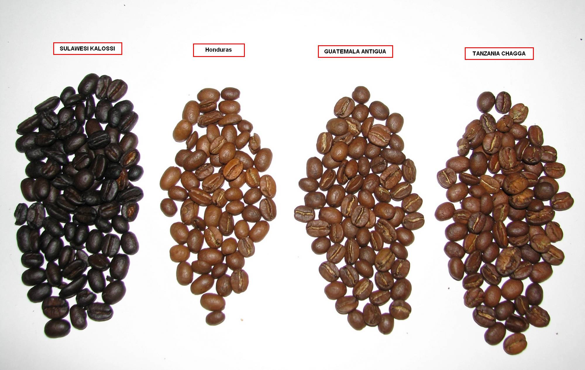 Самый крепкий кофе в мире: названия, как сварить