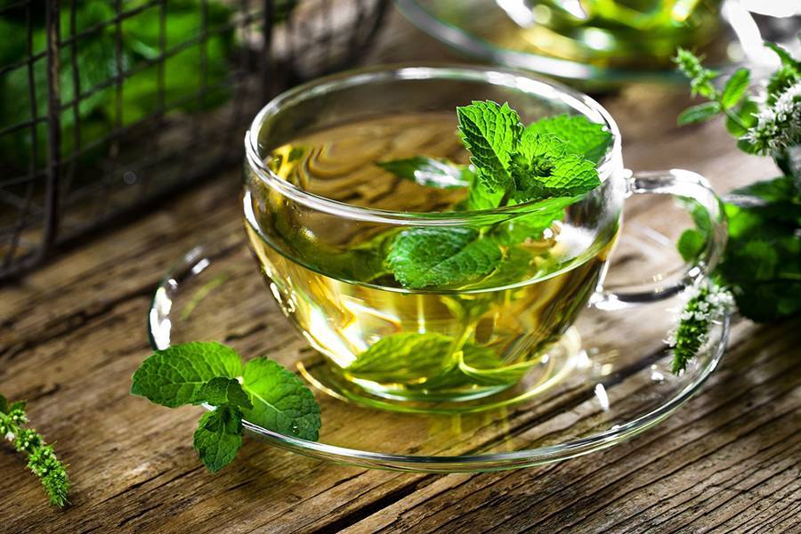Зеленый чай с мятой – очень ароматный и тонизирующий напиток