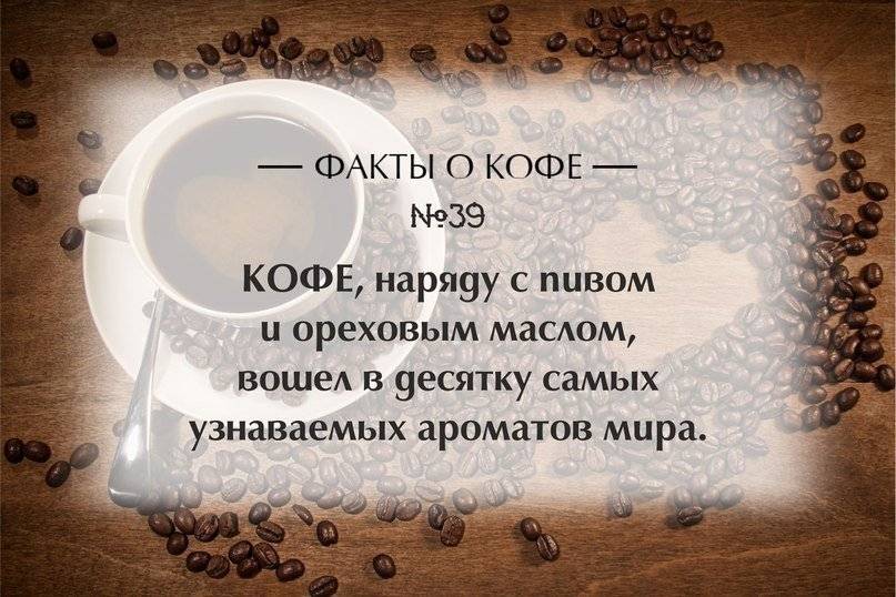 К горькому кофе достань шоколадку, к горькой минуте – счастливую мысль… цитаты и афоризмы про кофе