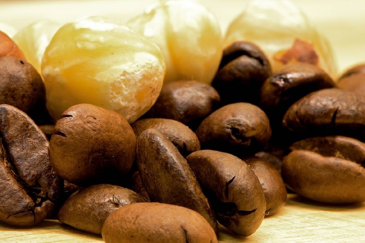Рецепты кофе с мускатным орехом. как приготовить ароматный мускатный напиток