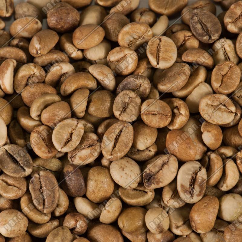 Характеристика танзанийского кофе