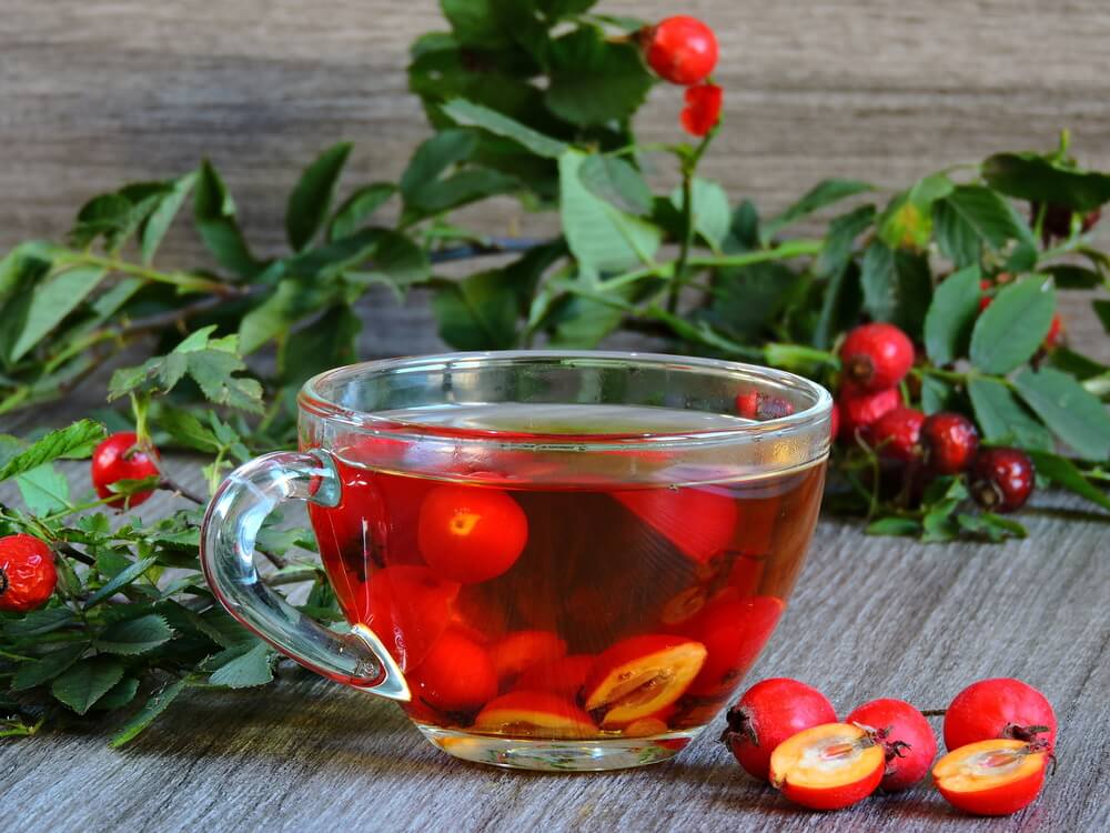 Чай из шиповника: полезные свойства и противопоказания