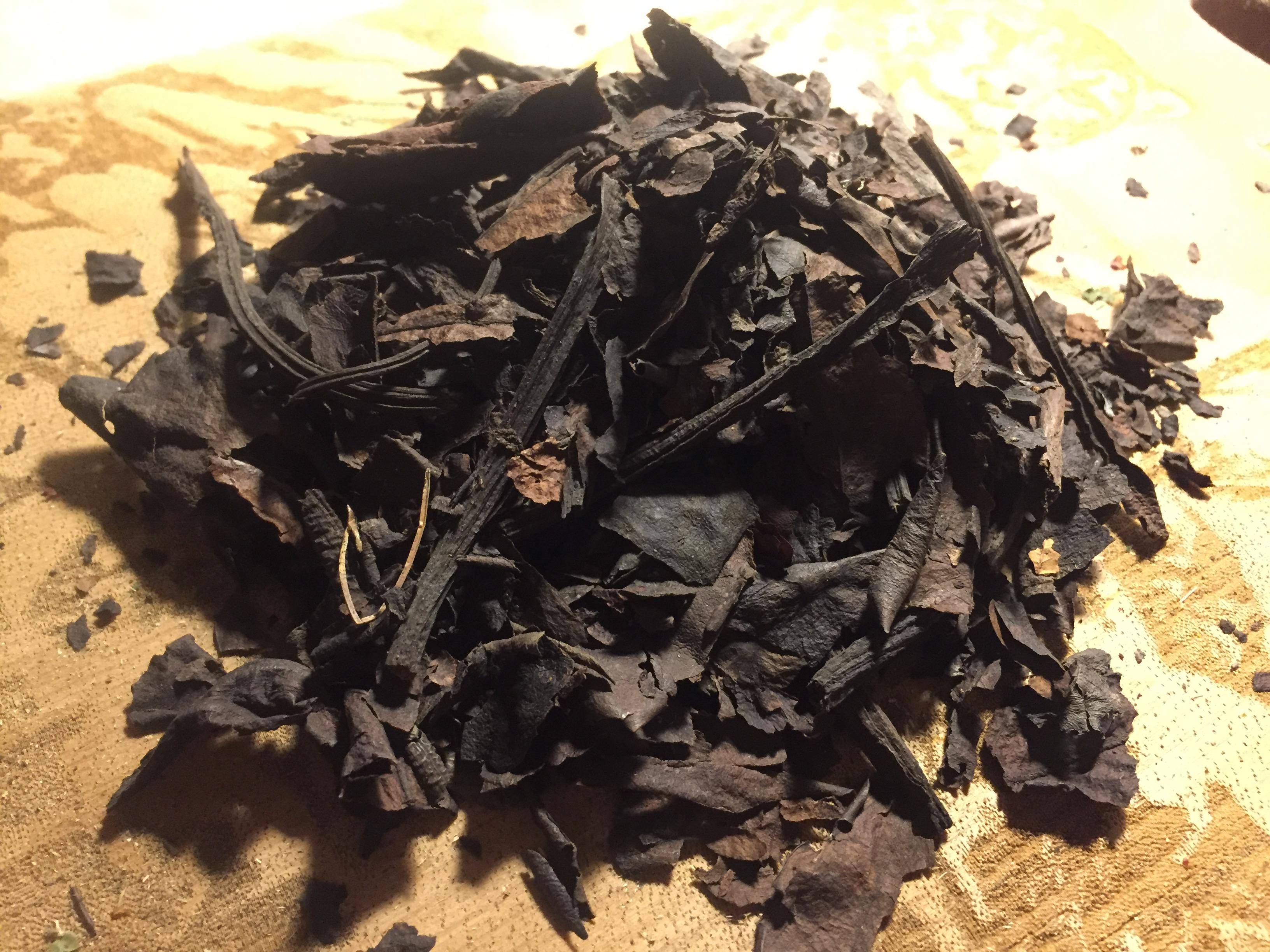 Почему полезно пить траву бадан: свойства чая из листьев, корневищ