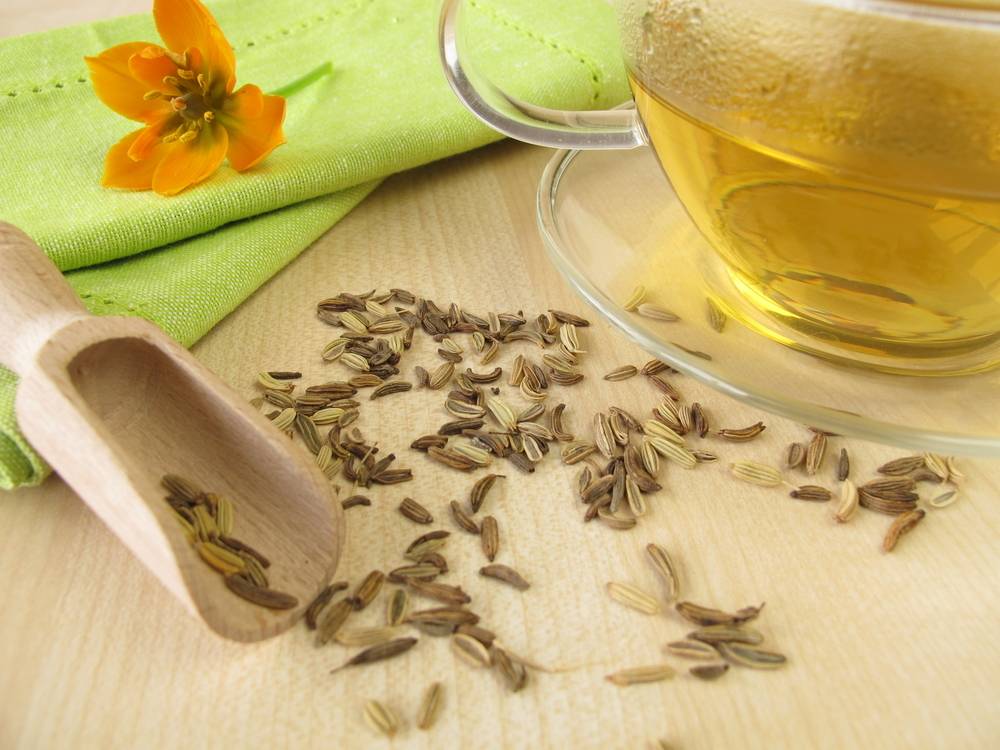 Чай фенхель: полезные свойства и противопоказания