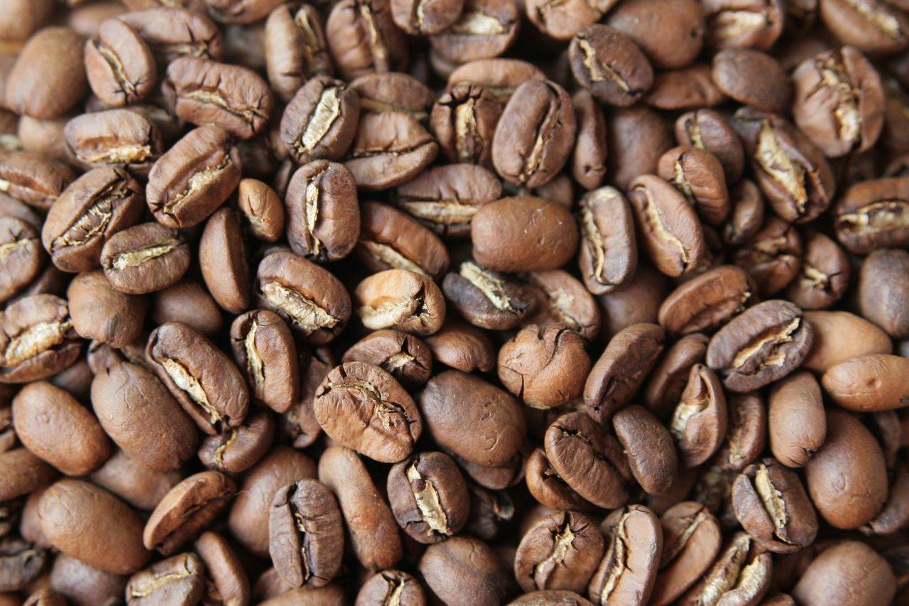 Кофе марагоджип – пищевые характеристики и вкусовые качества. страна произрастания, способ культивации и обработки