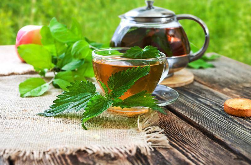 Рецепты и свойства чая с базиликом