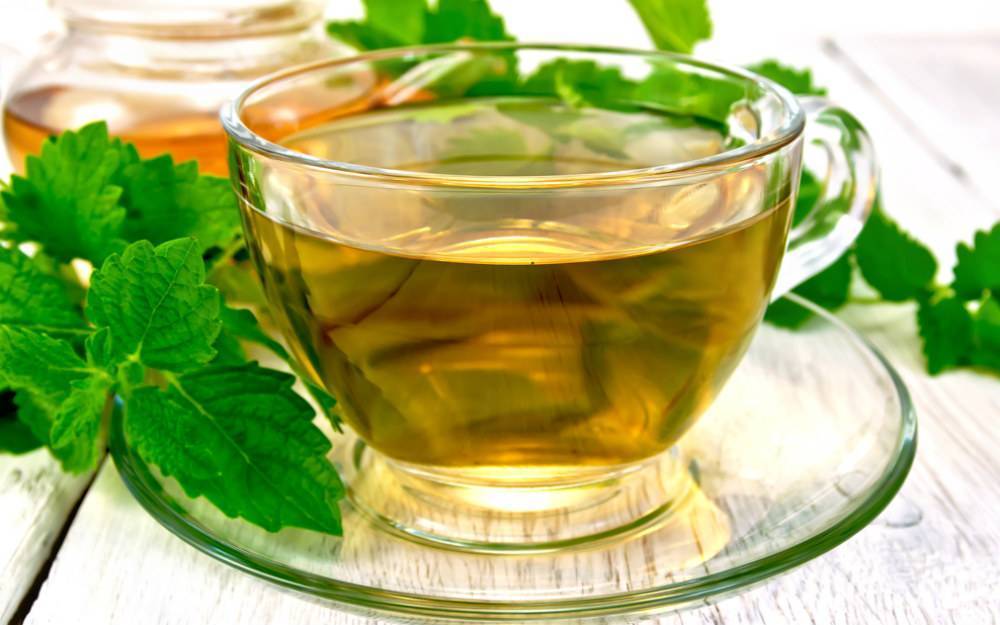 Чай с мелиссой: польза и вред, полезные свойства и противопоказания, рецепты