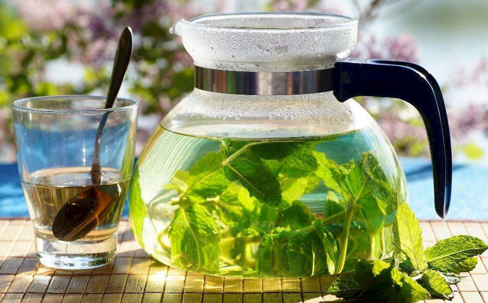 Чай с мелиссой - польза и вред для организма, как заваривать