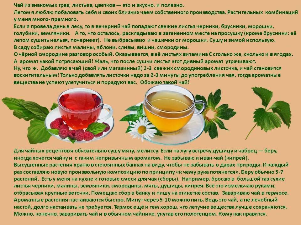 Полезные свойства малинового чая