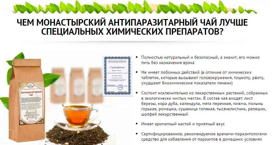 Монастырский чай: свойства, состав, показания к применению