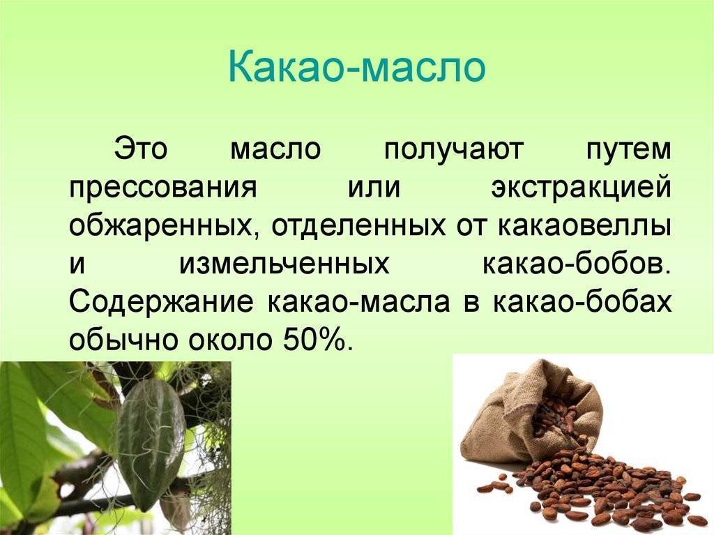 Масло какао: состав, свойства, применение в косметологии и домашних условиях