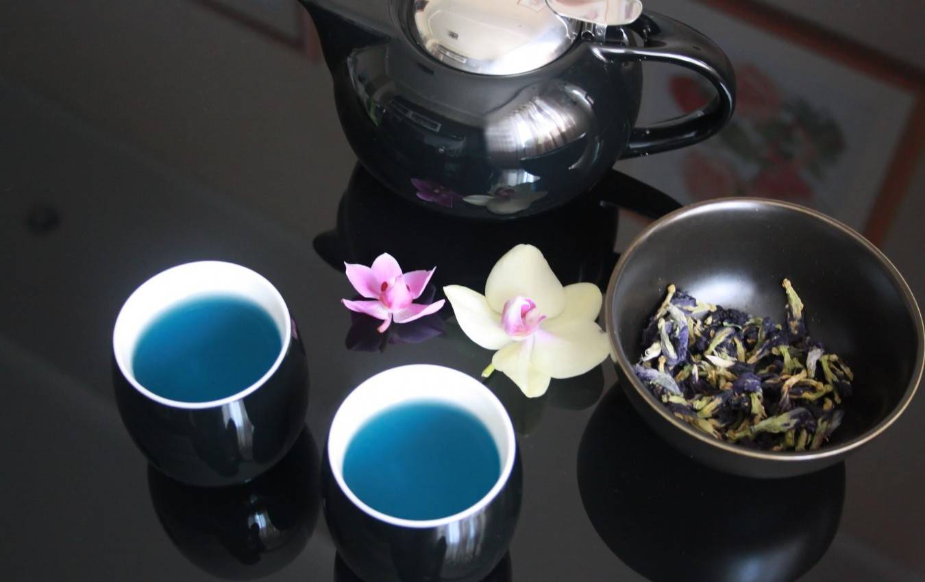 Синий чай из тайланда