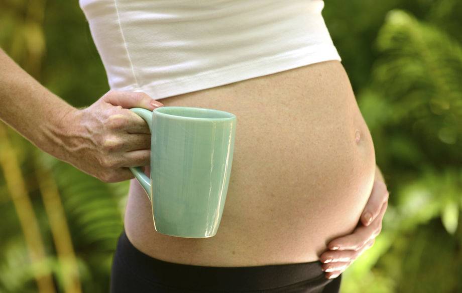 Мелисса при беременности — можно ли